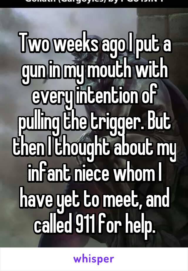 Two weeks ago I put a gun in my mouth with every intention of pulling the trigger. But then I thought about my infant niece whom I have yet to meet, and called 911 for help.