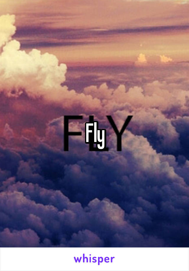 Fly