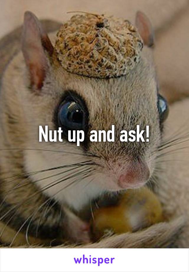 Nut up and ask!