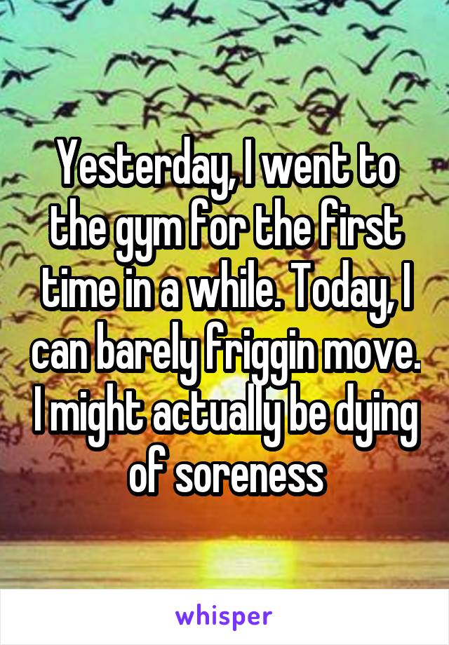 Yesterday, I went to the gym for the first time in a while. Today, I can barely friggin move. I might actually be dying of soreness