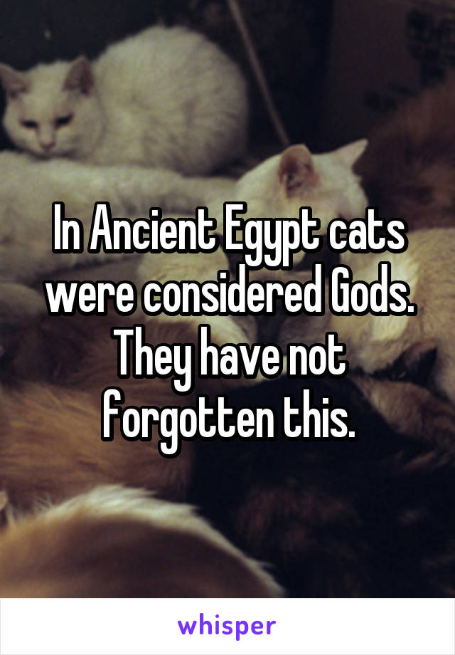 In Ancient Egypt cats were considered Gods. They have not forgotten this.