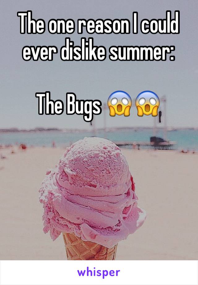 The one reason I could ever dislike summer:

The Bugs 😱😱





