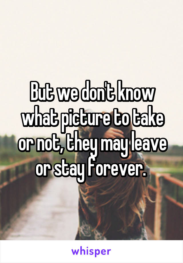 But we don't know what picture to take or not, they may leave or stay forever. 