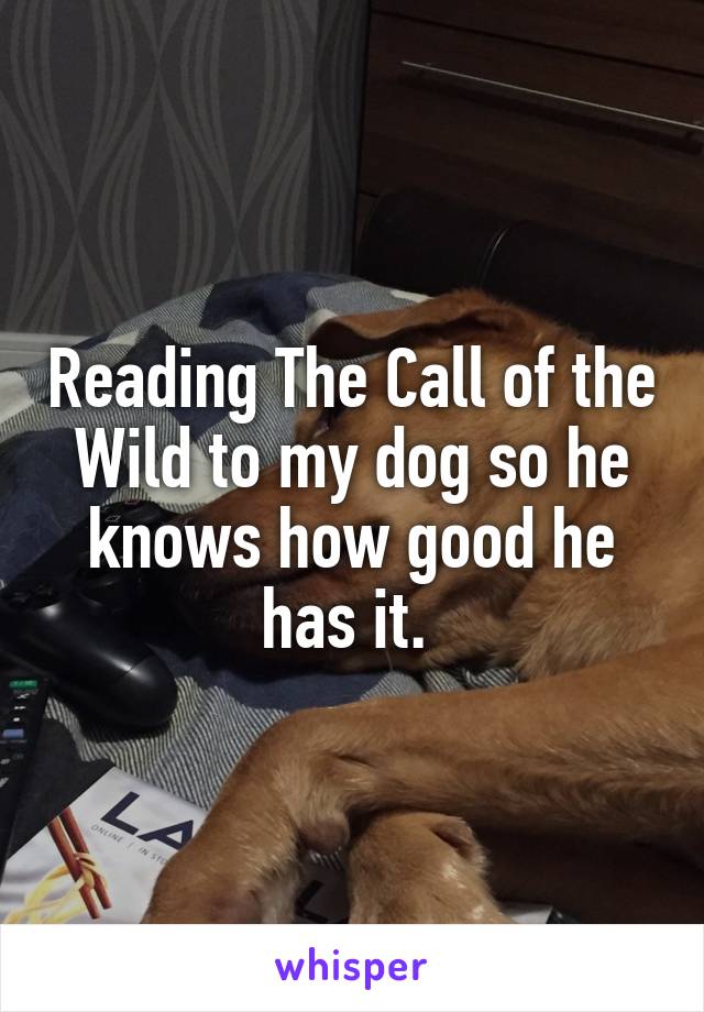 Reading The Call of the Wild to my dog so he knows how good he has it. 