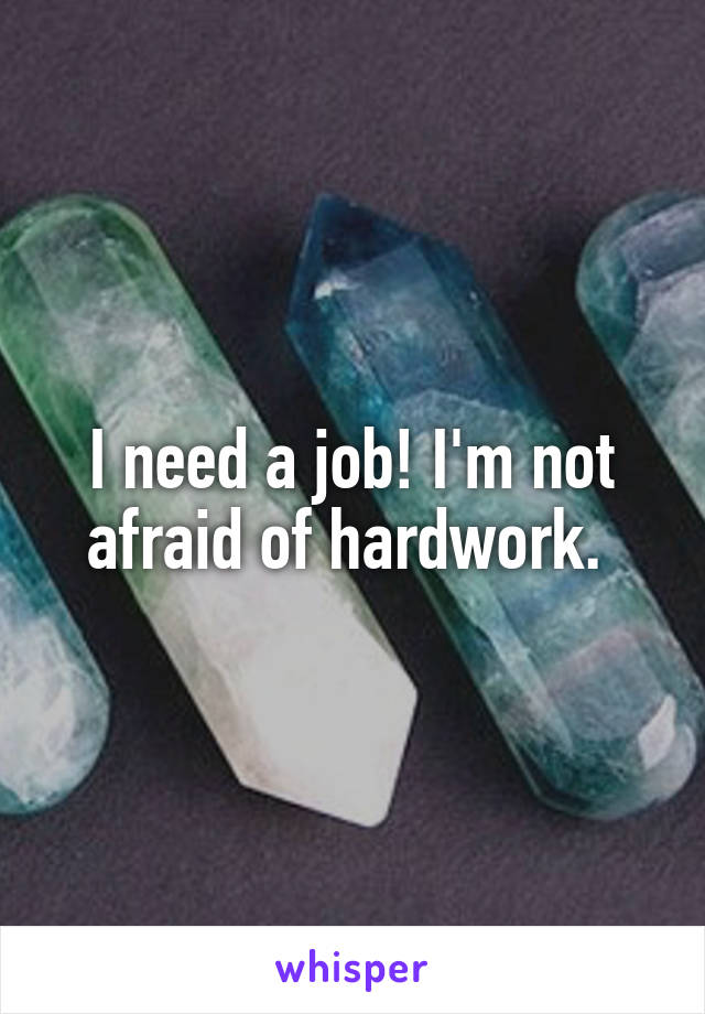 I need a job! I'm not afraid of hardwork. 