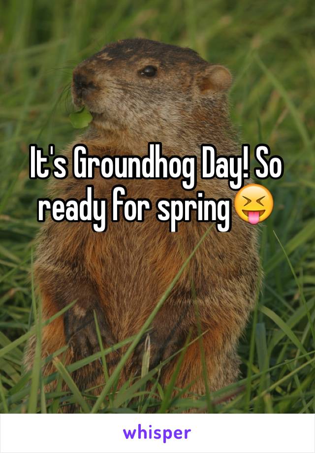 It's Groundhog Day! So ready for spring😝