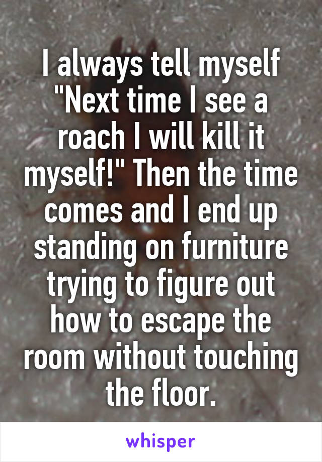 I always tell myself "Next time I see a roach I will kill it myself!" Then the time comes and I end up standing on furniture trying to figure out how to escape the room without touching the floor.