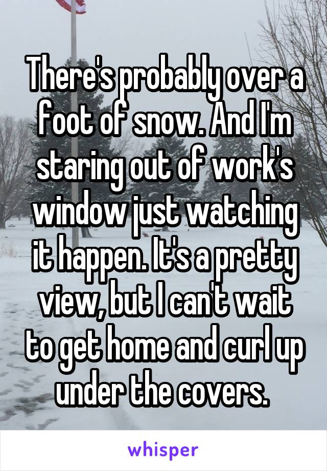 There's probably over a foot of snow. And I'm staring out of work's window just watching it happen. It's a pretty view, but I can't wait to get home and curl up under the covers. 