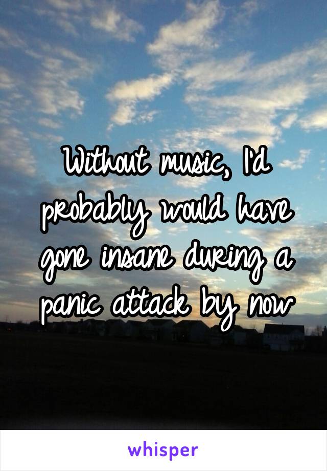 Without music, I'd probably would have gone insane during a panic attack by now