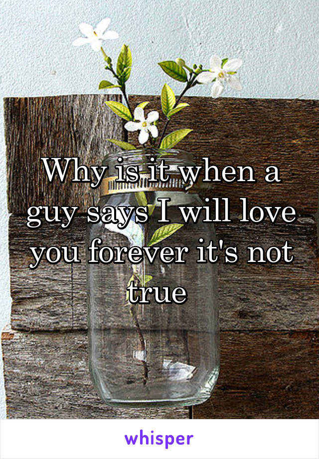 Why is it when a guy says I will love you forever it's not true 