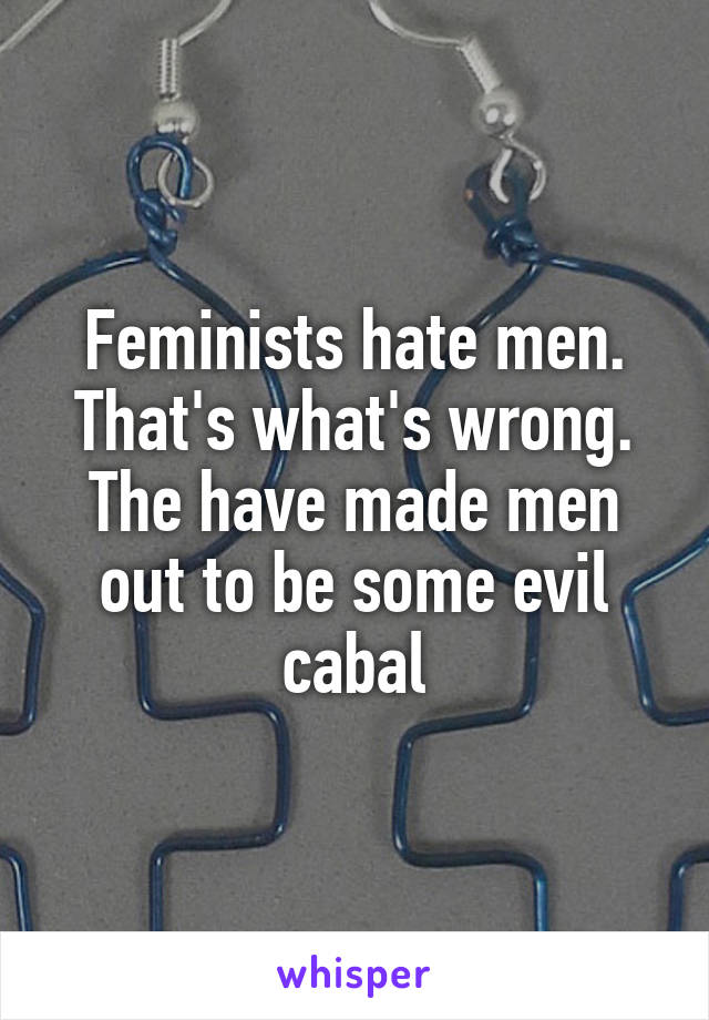 Feminists hate men. That's what's wrong. The have made men out to be some evil cabal