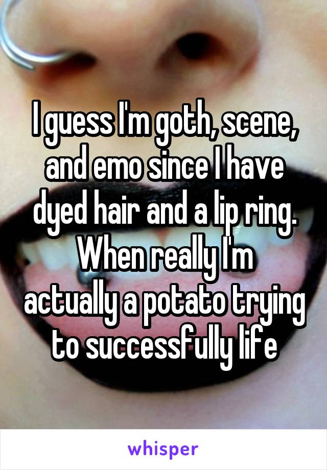 I guess I'm goth, scene, and emo since I have dyed hair and a lip ring.
When really I'm actually a potato trying to successfully life