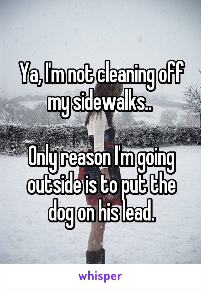 Ya, I'm not cleaning off my sidewalks.. 

Only reason I'm going outside is to put the dog on his lead.