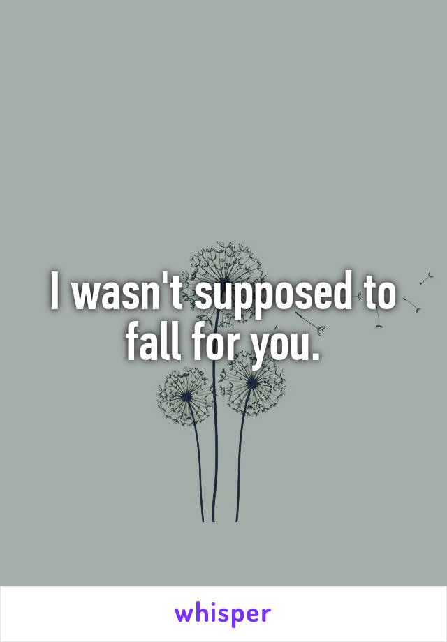 I wasn't supposed to fall for you.