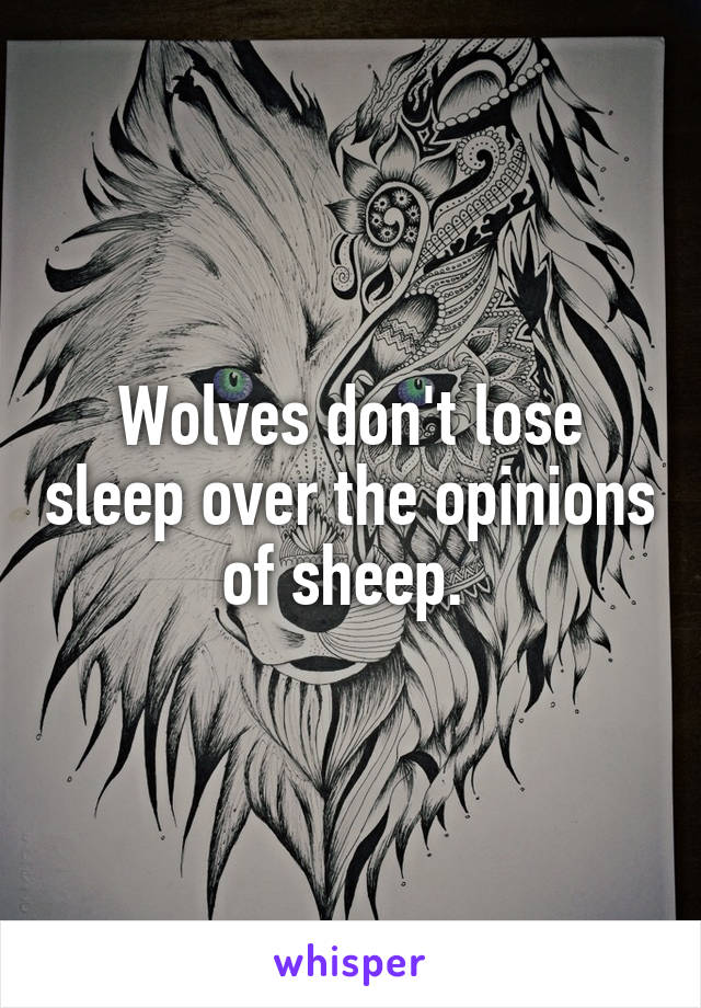 Wolves don't lose sleep over the opinions of sheep. 