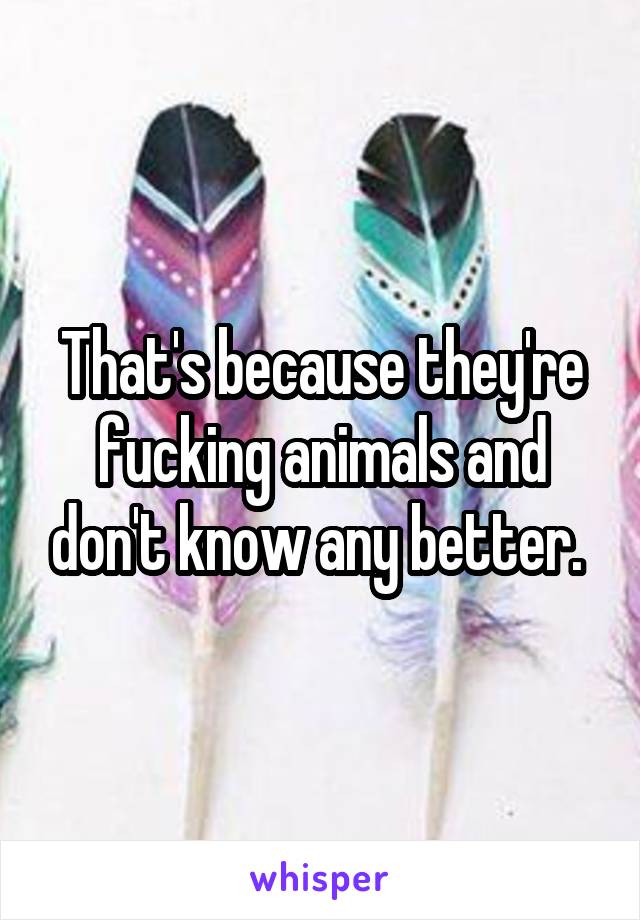 That's because they're fucking animals and don't know any better. 