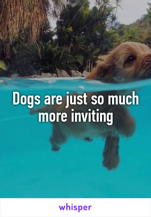 Dogs are just so much more inviting