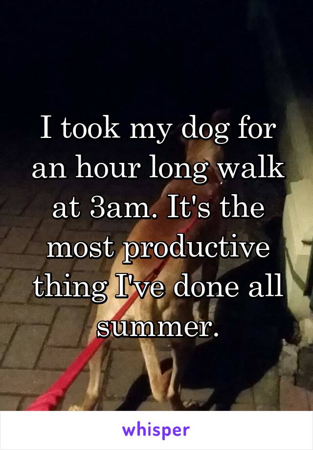 I took my dog for an hour long walk at 3am. It's the most productive thing I've done all summer.