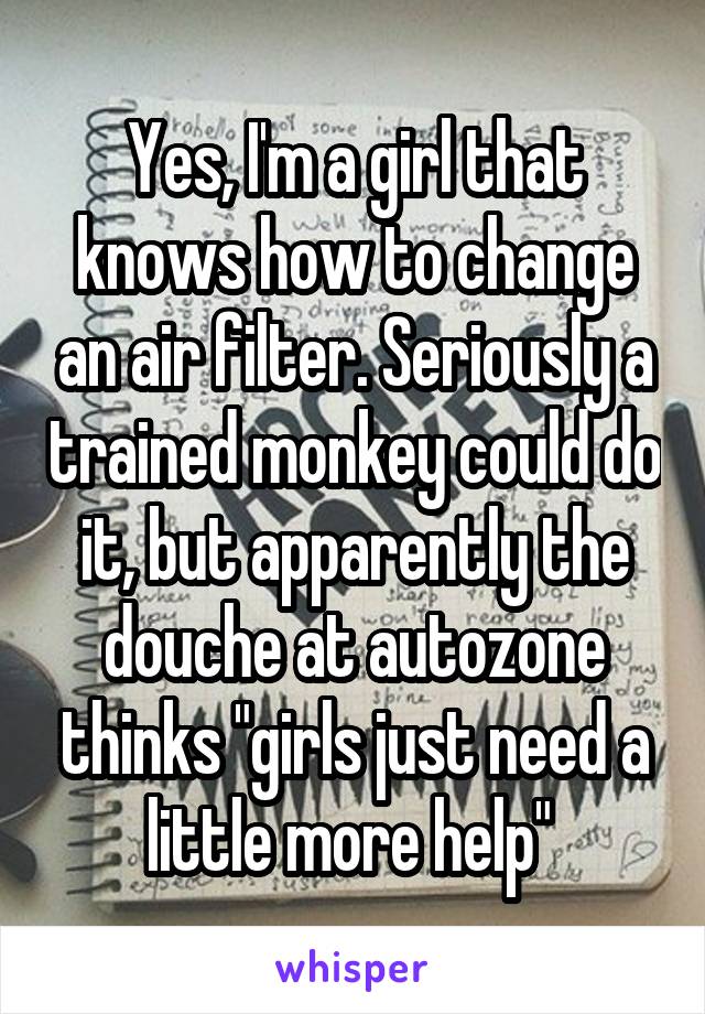 Yes, I'm a girl that knows how to change an air filter. Seriously a trained monkey could do it, but apparently the douche at autozone thinks "girls just need a little more help" 