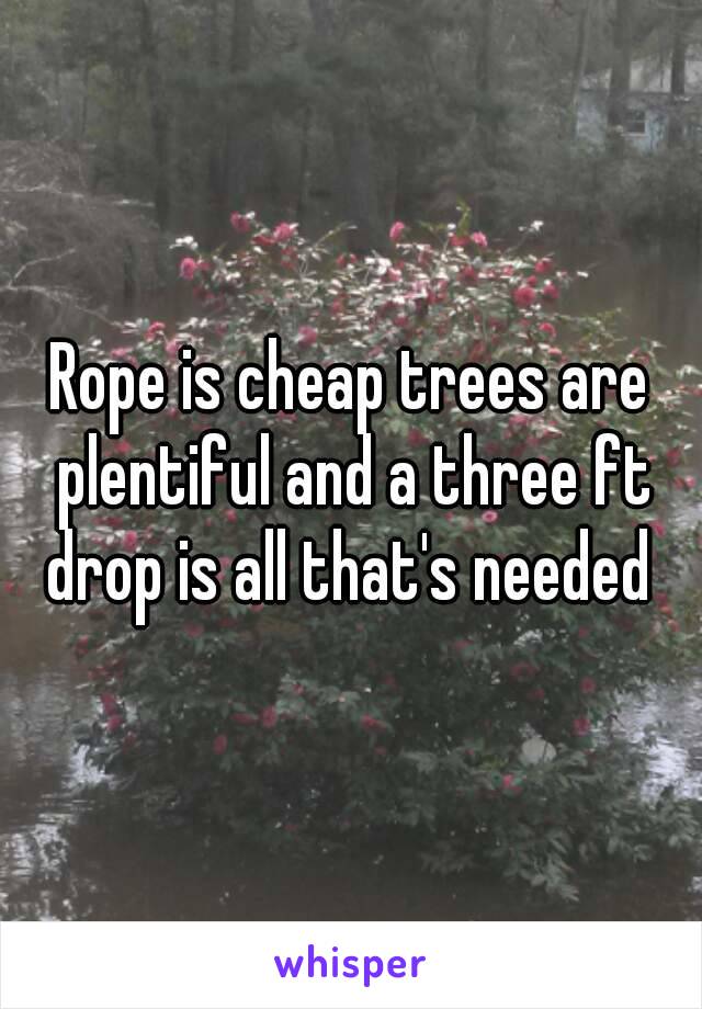 Rope is cheap trees are plentiful and a three ft drop is all that's needed 