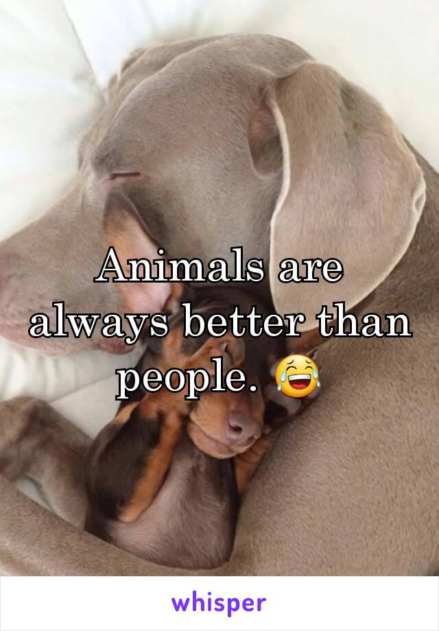 Animals are always better than people. 😂