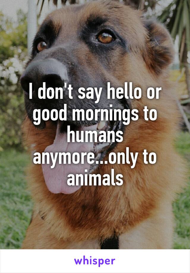 I don't say hello or good mornings to humans anymore...only to animals