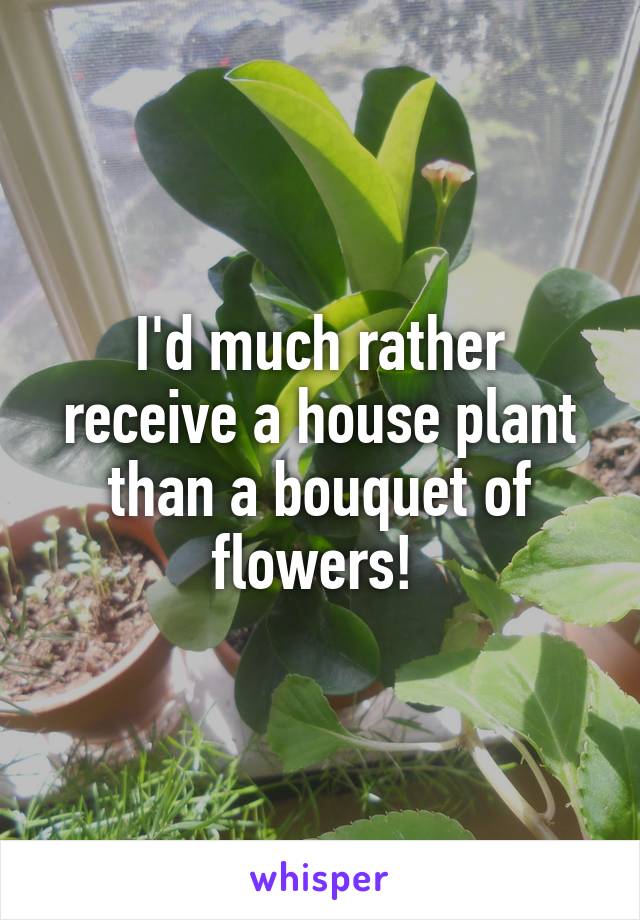 I'd much rather receive a house plant than a bouquet of flowers! 