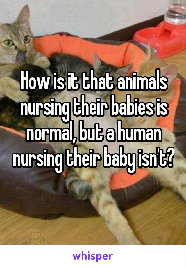 How is it that animals nursing their babies is normal, but a human nursing their baby isn't? 