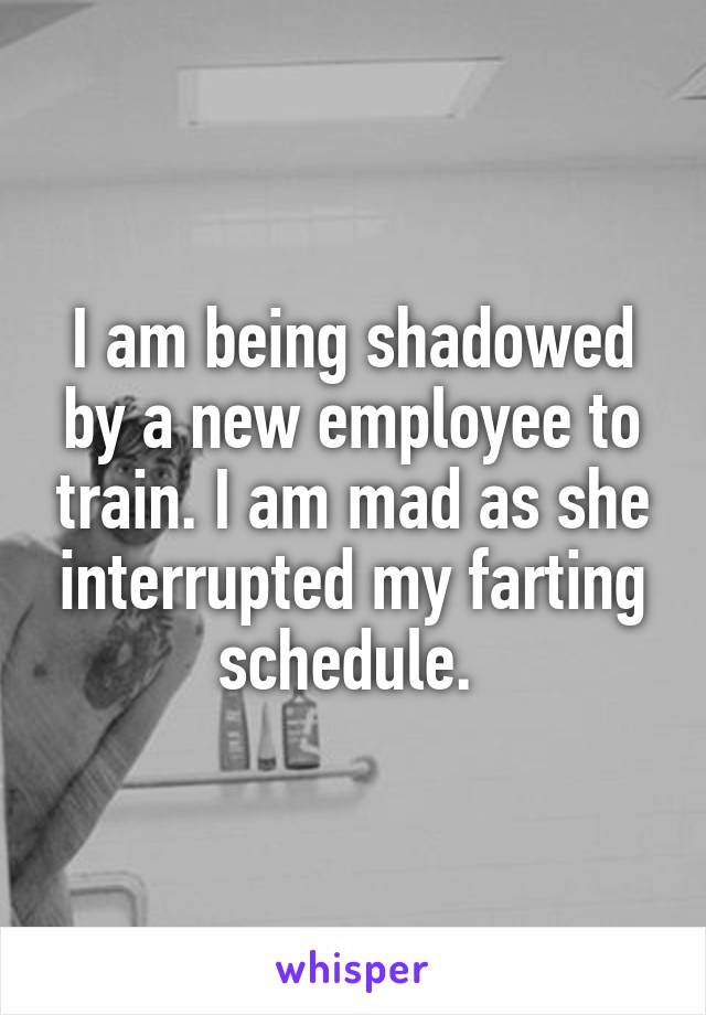 I am being shadowed by a new employee to train. I am mad as she interrupted my farting schedule. 