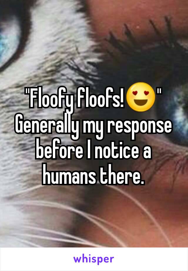 "Floofy floofs!😍"
Generally my response before I notice a humans there.