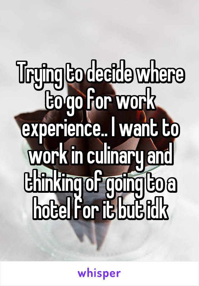 Trying to decide where to go for work experience.. I want to work in culinary and thinking of going to a hotel for it but idk