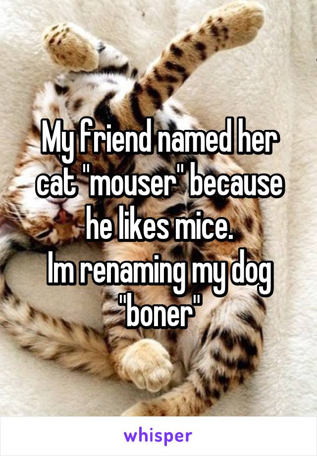 My friend named her cat "mouser" because he likes mice.
Im renaming my dog "boner"