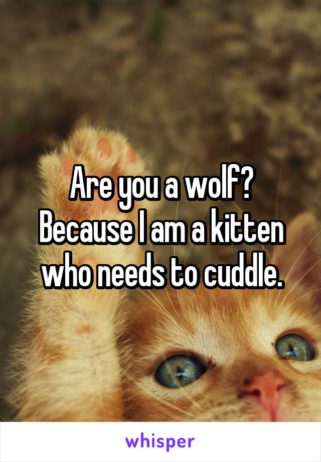 Are you a wolf? Because I am a kitten who needs to cuddle.