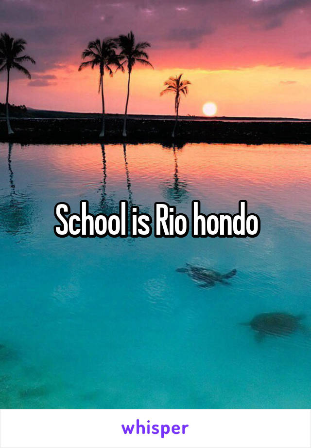 School is Rio hondo