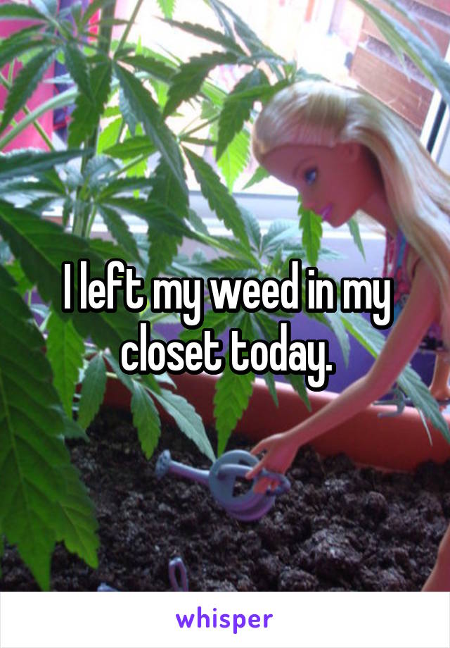 I left my weed in my closet today.