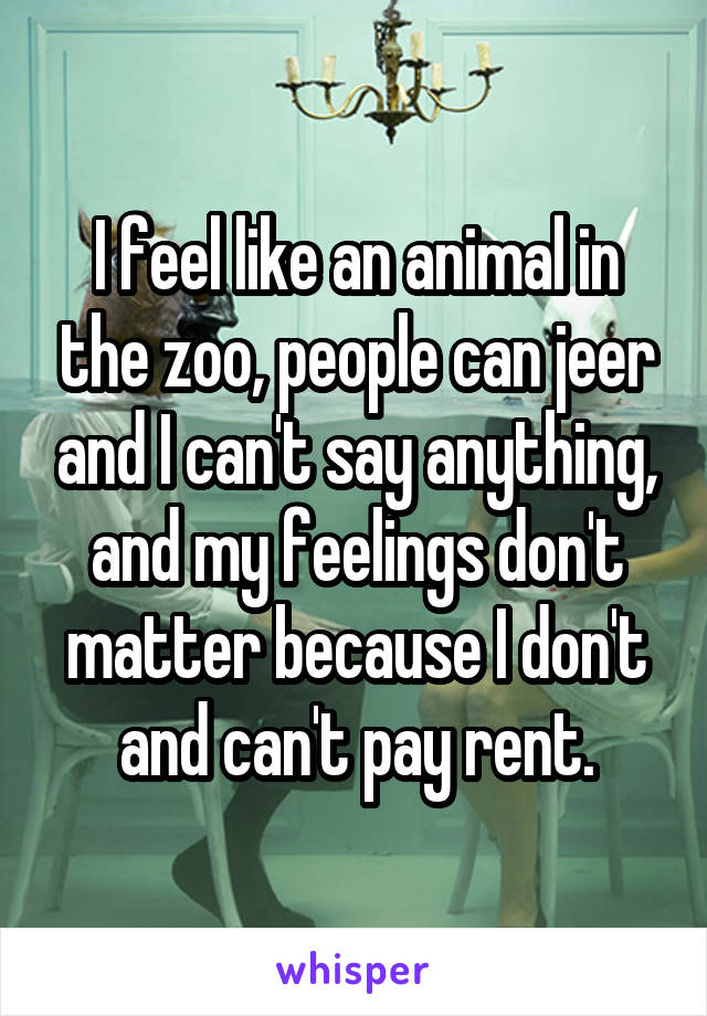 I feel like an animal in the zoo, people can jeer and I can't say anything, and my feelings don't matter because I don't and can't pay rent.