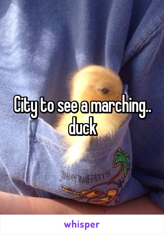 City to see a marching.. duck