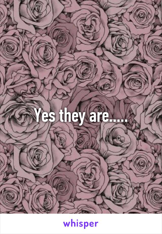 Yes they are.....