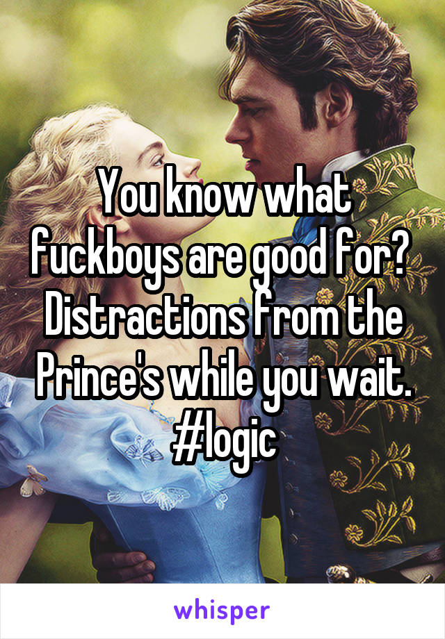You know what fuckboys are good for? 
Distractions from the Prince's while you wait. #logic