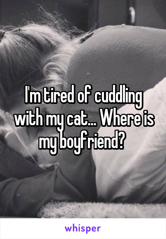 I'm tired of cuddling with my cat... Where is my boyfriend? 