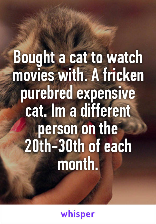 Bought a cat to watch movies with. A fricken purebred expensive cat. Im a different person on the 20th-30th of each month.