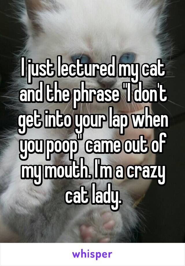 I just lectured my cat and the phrase "I don't get into your lap when you poop" came out of my mouth. I'm a crazy cat lady.