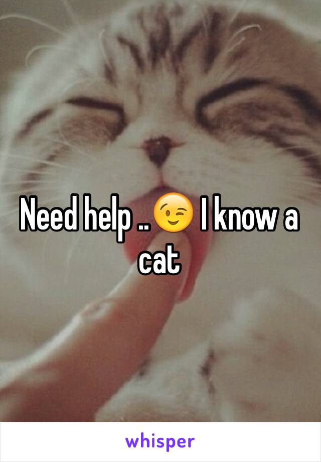 Need help ..😉 I know a cat