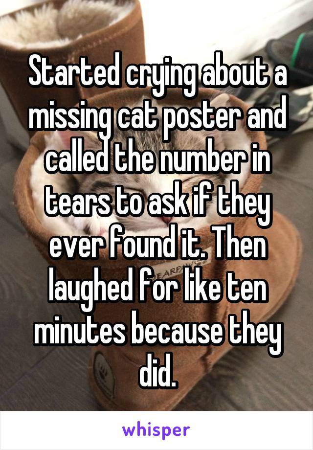 Started crying about a missing cat poster and called the number in tears to ask if they ever found it. Then laughed for like ten minutes because they did.