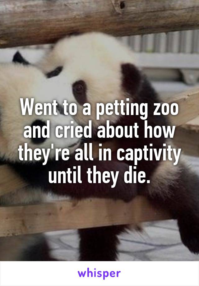 Went to a petting zoo and cried about how they're all in captivity until they die.