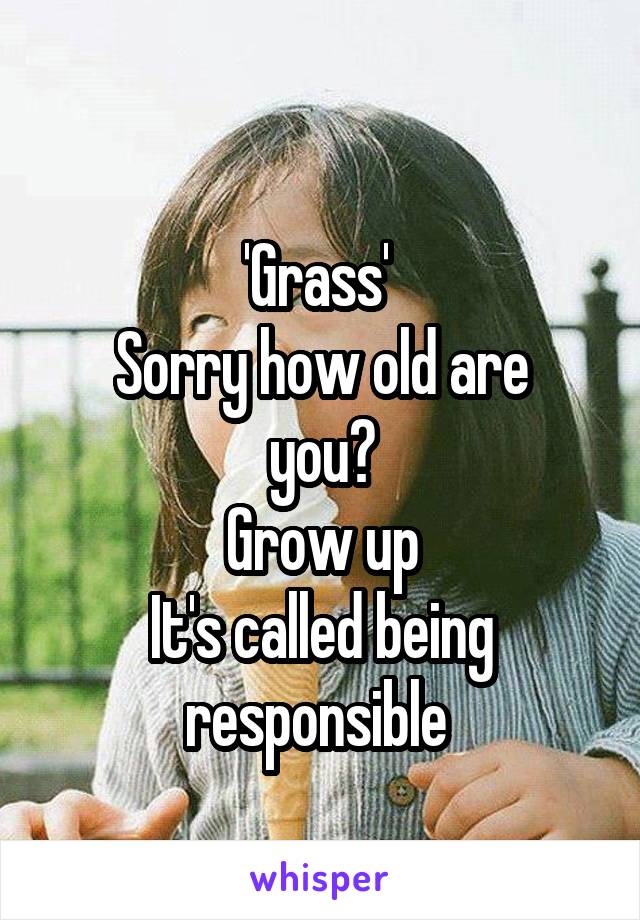 
'Grass' 
Sorry how old are you?
Grow up
It's called being responsible 