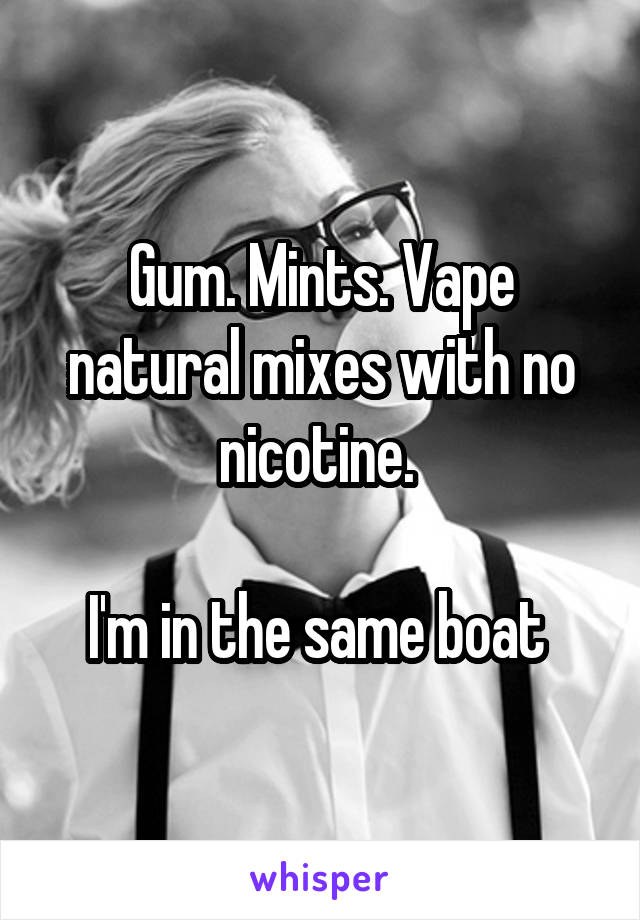 Gum. Mints. Vape natural mixes with no nicotine. 

I'm in the same boat 