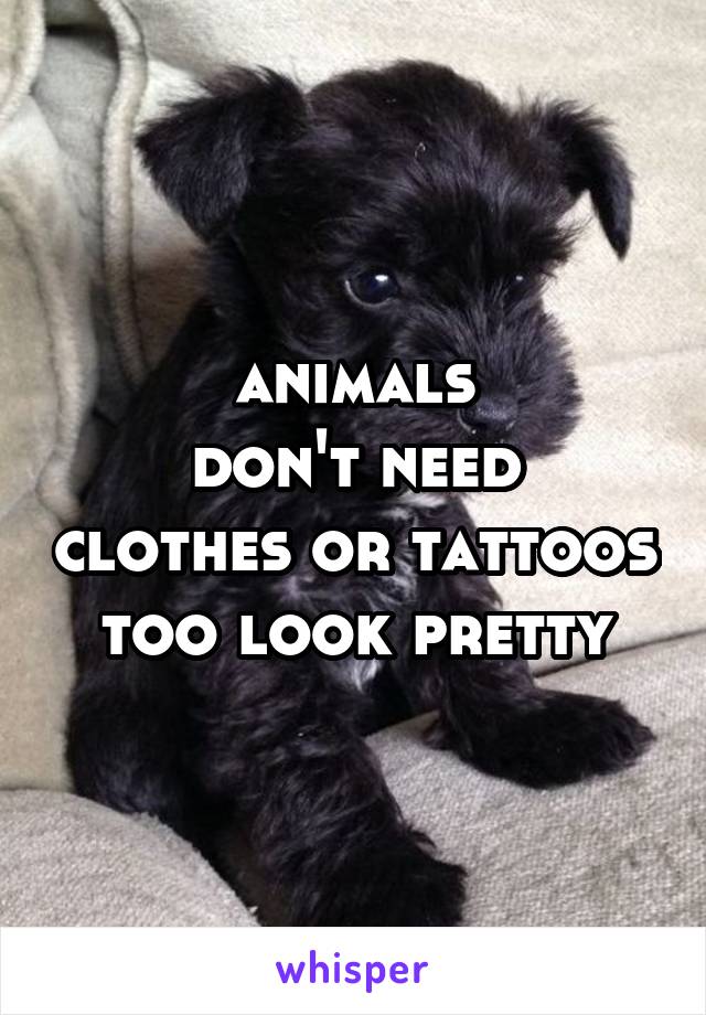 animals
don't need clothes or tattoos too look pretty