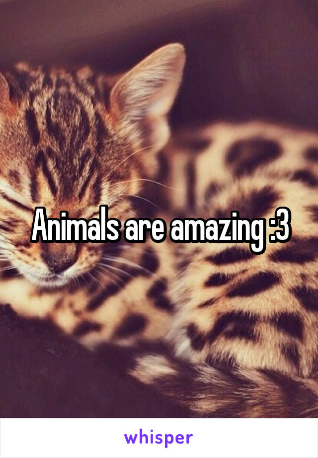 Animals are amazing :3