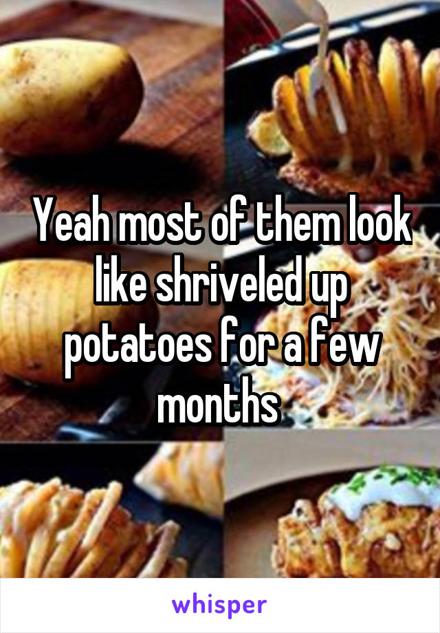 Yeah most of them look like shriveled up potatoes for a few months 